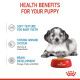 Royal Canin Medium Puppy – Hrană Umedă în Sos pentru Căței de Talie Medie – 140 g